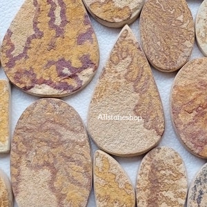 May include: A collection of natural stone cabochons in various shapes and sizes. The stones are a mix of brown, tan, and red with a unique pattern. Allstoneshop is printed on one of the stones.