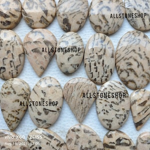 Waffy Jasper, Natural Jasper, Jasper Lot, Unique Jasper, Jasper Cabochon, Jasper Bulk, AAA Jasper, Jasper Gemstone, Jewelry Stone
