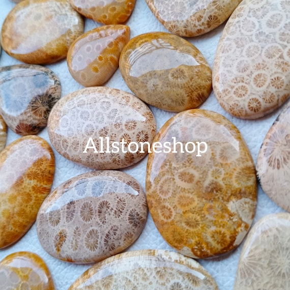 Fossil Coral - Fossil Coral Stone - Gemstone Lot - Bulk Gemstone
