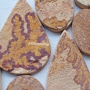 May include: A collection of six teardrop-shaped, polished sandstone cabochons with a variety of brown, yellow, and red patterns. The stones are all different sizes and shapes, but they all have a smooth, polished finish.