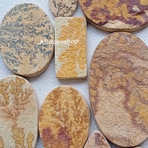 May include: Assortment of oval and rectangular shaped natural stone coasters with various patterns in shades of brown, yellow, and red. The coasters feature a unique, organic look and are perfect for adding a touch of nature to any home decor.