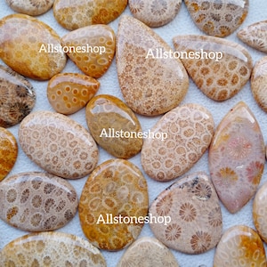 May include: A selection of polished coral cabochons in diverse shapes, such as oval and teardrop. The coral pieces exhibit warm hues, from light beige to deep orange, with detailed patterns. The text "Allstoneshop" is visible on some of the stones.