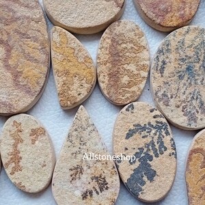 May include: Assortment of 10 natural stone cabochons with dendritic patterns in shades of brown, beige, and gray. The stones are oval, teardrop, and round shapes.