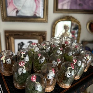 May include: A collection of miniature terrariums, each featuring a skull figurine with a red and white spotted mushroom. The terrariums are encased in clear glass domes with cork bases, set on a dark surface.