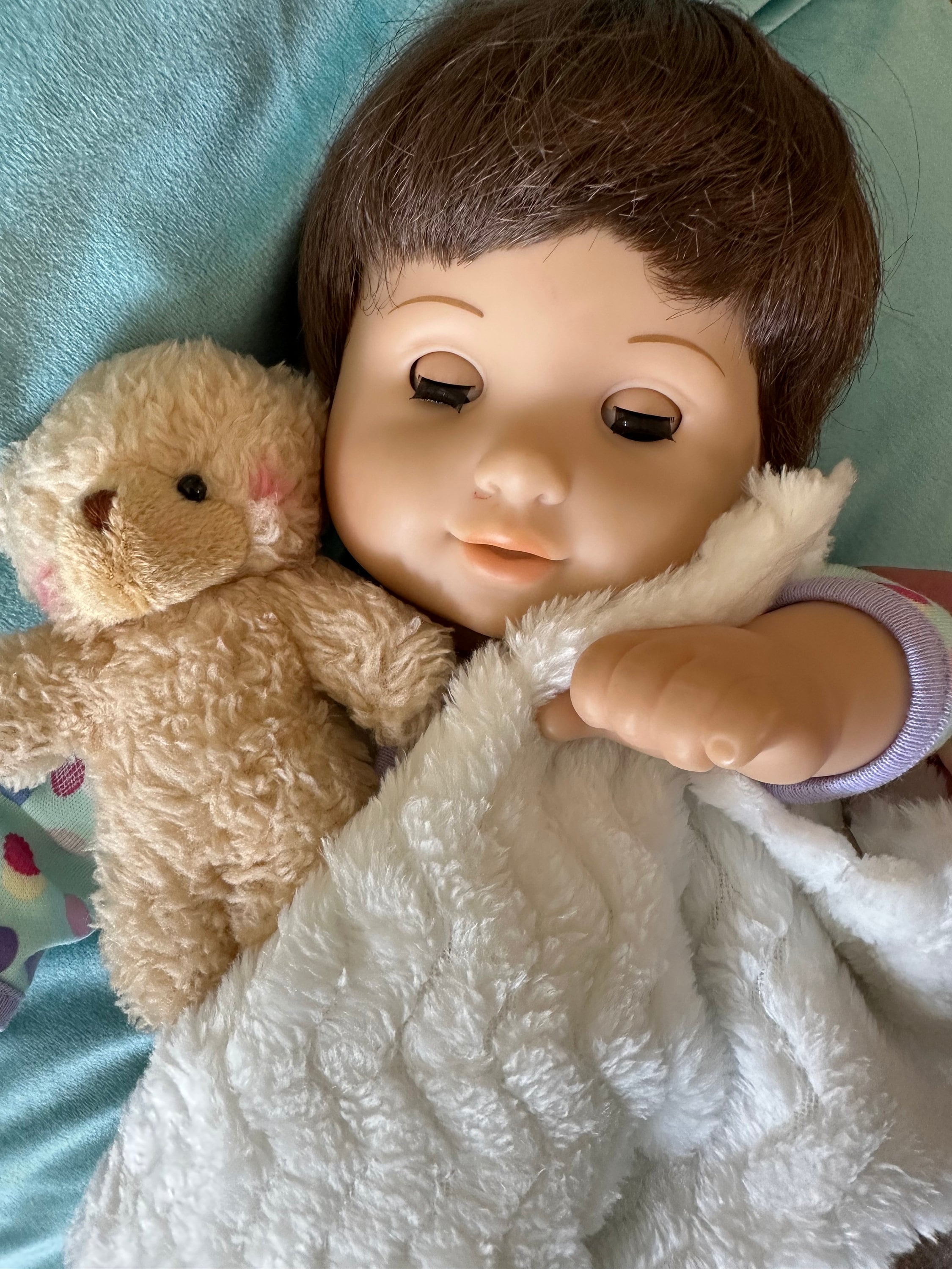 Bitty baby bear 2025