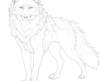 Furry Base | Realistic Wolf