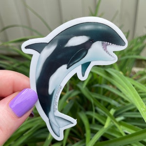 Orca Wal wasserdicht Aufkleber für Wasserflasche Laptop Journal Körper positive Kunst Beluga Blauwale Unterwasser Freundschaft Meer niedliche Tiere