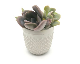 Succulent Planter | Concrete Planter | Geometric Pot | Plant Pot | Indoor Planter | Handmade Planter | Candle Holder | Kent