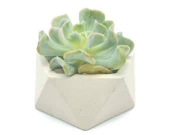 Succulent Planter | Concrete Planter | Geometric Pot | Plant Pot | Indoor Planter | Handmade Planter | Candle Holder | Mini Iscohedron