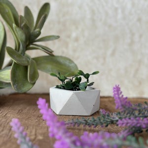 May include: A small, geometric concrete planter in a light grey colour with a small green plant inside. The planter is sitting on a wooden surface with purple flowers in the background.