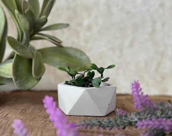 Succulent Planter | Concrete Planter | Geometric Pot | Plant Pot | Indoor Planter | Handmade Planter | Candle Holder | Mini Iscohedron