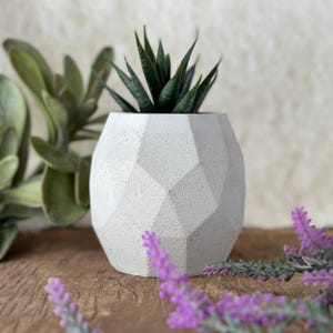May include: A white geometric concrete planter with a small succulent plant inside. The planter is sitting on a wooden surface with purple flowers in the foreground.