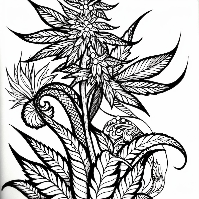 25 Printable Cannabis Coloring Pages - Etsy