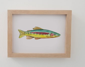 Watercolor Rainbow Trout Fish Wall Decor Artwork