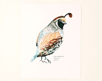 California Valley Quail State Bird Art Print Wall Decor Painting