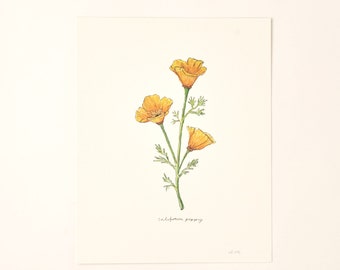 California Poppy State Flower Native Wildflower Watercolor Painting Wall Decor Art Print