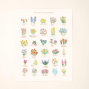 California Native Wildflowers Art Print Painting Wall Decor