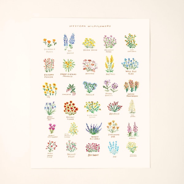 Impresión artística de flores silvestres nativas de California, pintura decorativa para pared