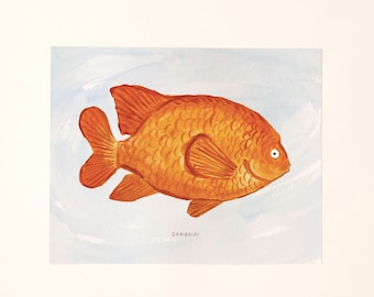 Garibaldi California State Fish Art Print Wall Decor Painting