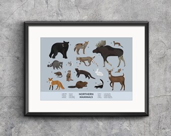 Illustrated Mammals Print - Natural History Nursery Art - Etsy