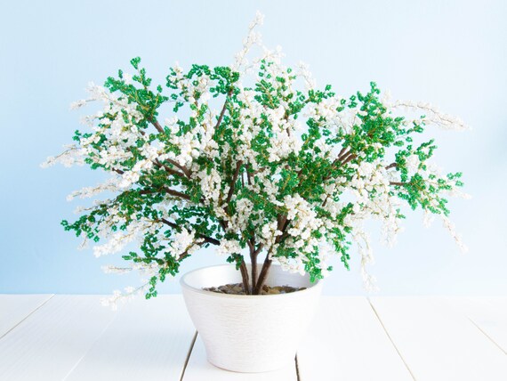 why dont they reprint bonsai techniques 1 why dont they reprint bonsai techniques 1