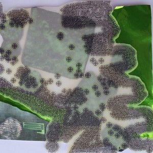 Microbiome