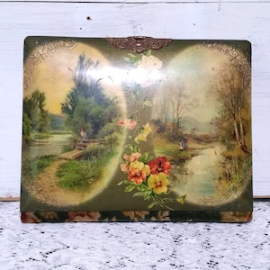 Zelluloid Viktorianisches Fotoalbum Antike Fotografien Bilder Familie Wiederverwendung Buch Baby Sammelalbum Ephemera Distressed Alt Display Floral