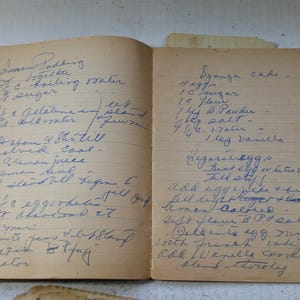 May include: An open vintage cookbook with handwritten recipes in blue ink. The left page details a Lemon Pudding recipe, while the right page features a Sponge Cake recipe. The aged paper has a warm, yellowed tone, suggesting its age.