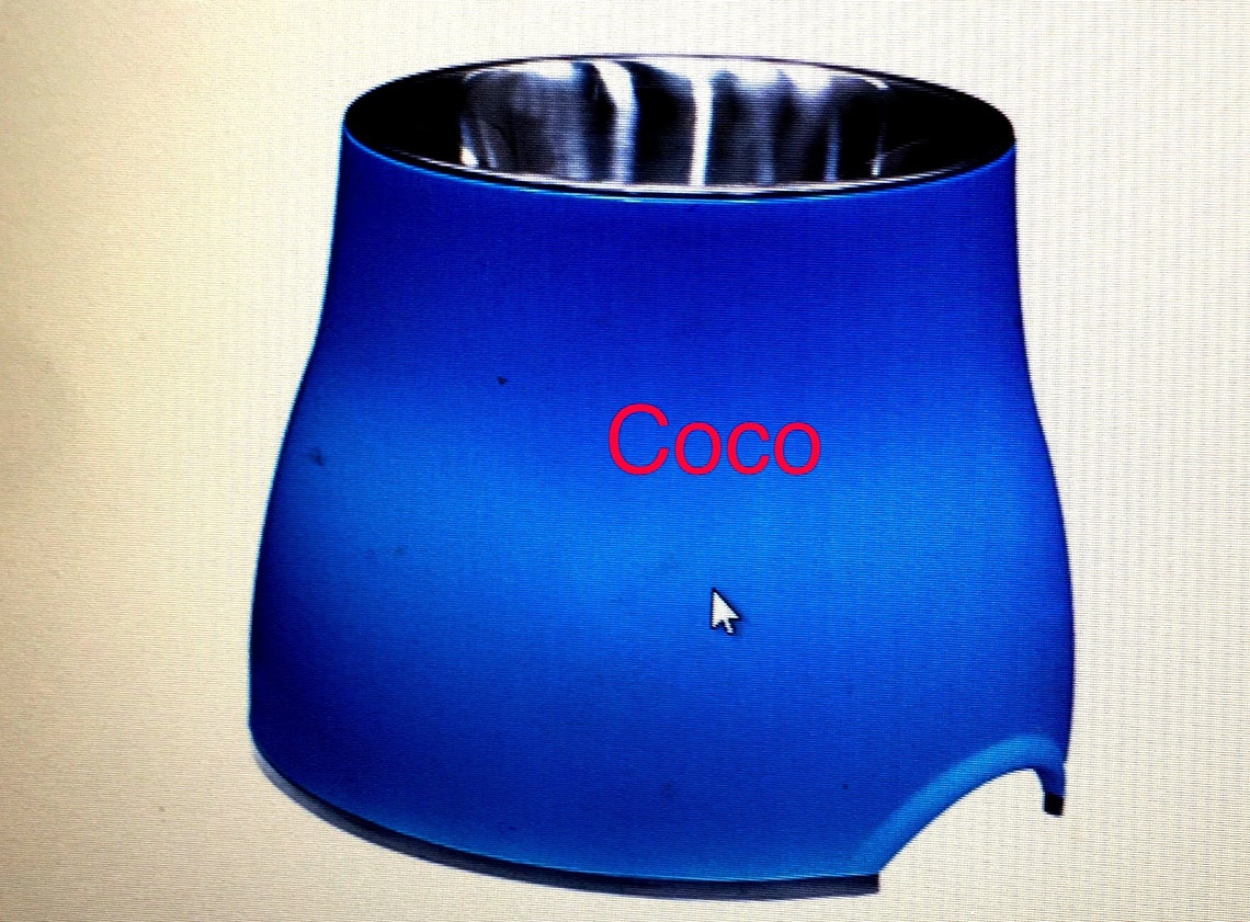 Personalized Elevated Dog Bowl Etsy