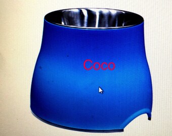 Personalized Elevated Dog Bowl