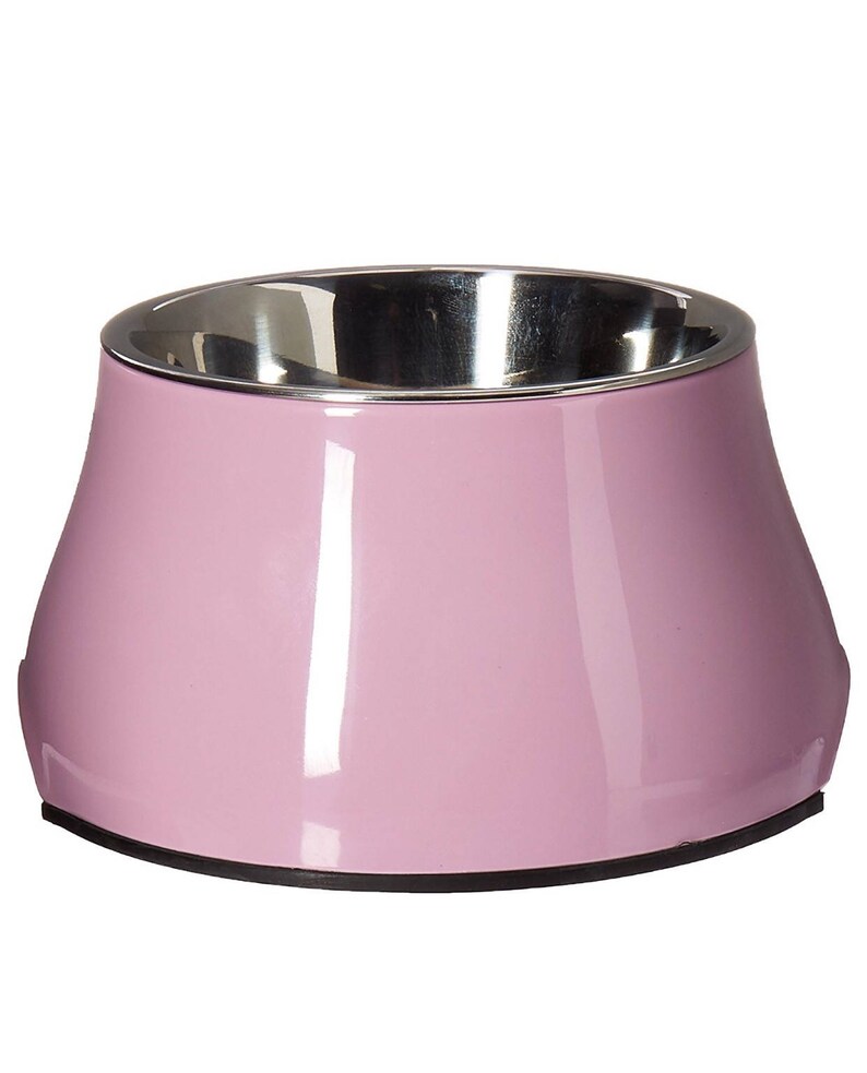 Personalized Elevated Dog Bowl Etsy