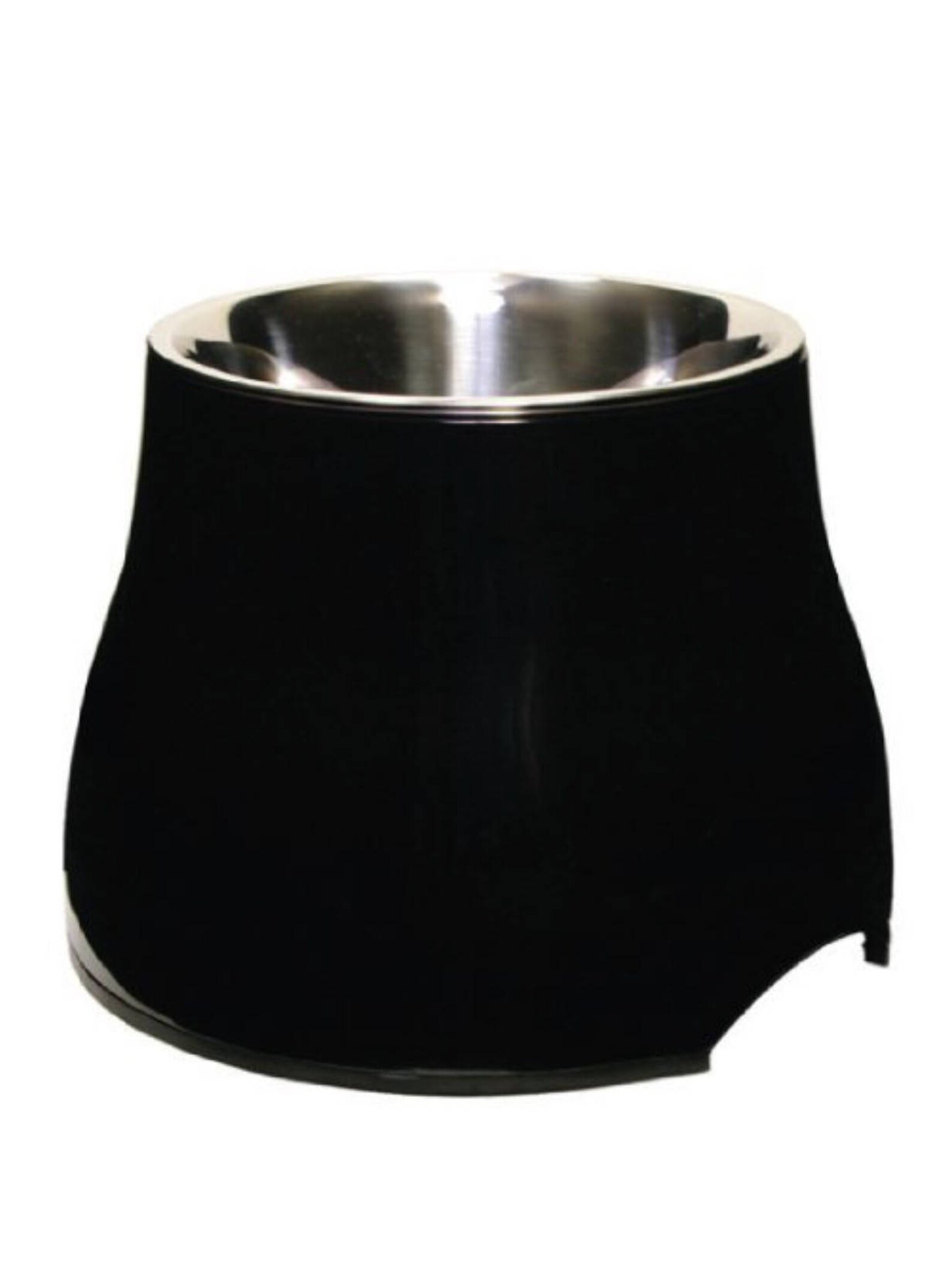 Personalized Elevated Dog Bowl Etsy