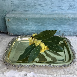 Antique French Silvered Brass Tray, Decorative Floral Border