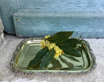 Antique French Silvered Brass Tray, Decorative Floral Border