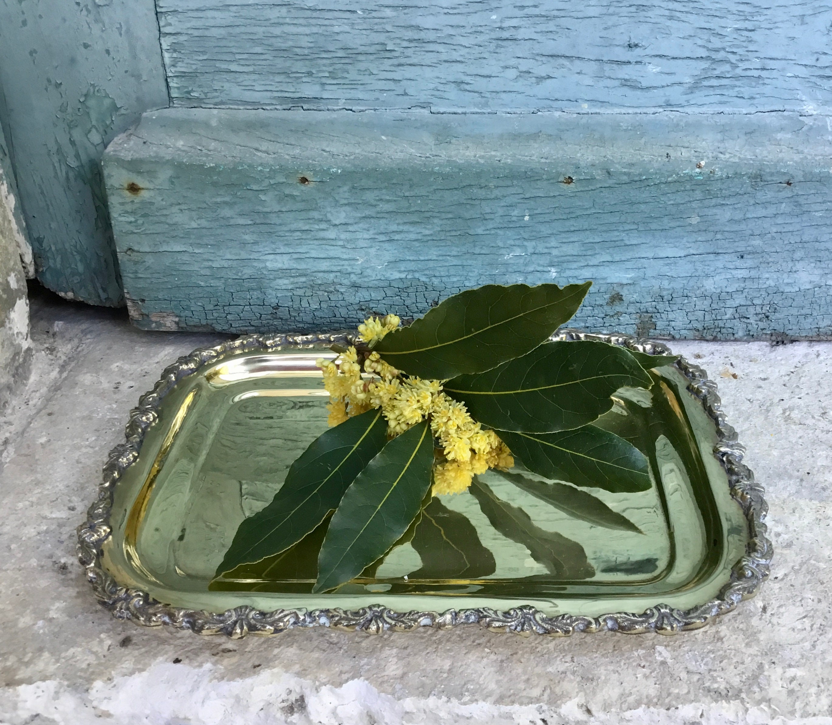 Un Fabuleux Plateau Décoratif Français en Fonte, Plaque Laiton Argenté avec Un Vaste Travail de Bord