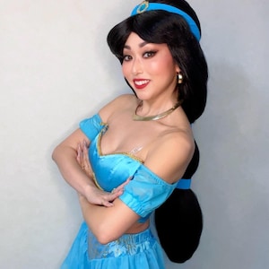 Only 1 left! READY to SHIP  Princess Jasmine Wig
