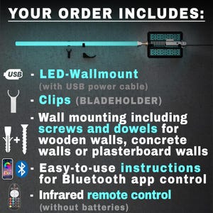 May include: Image shows the components included with an LED wall mount. The items include the LED light, USB power cable, clips, screws, dowels, instructions for Bluetooth app control, and an infrared remote control.