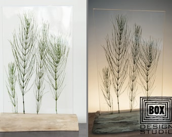 Natural Plants: Table Lamp with dried Horsetail - Contemporary Modern Scandinavian Accent Lamp, Rustic Lamps for Tables, Night Light