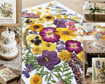 65 Dried Pressed Flower Set - Mixed Sizes Mega Pack: Flowers & Leaves for Crafts, Table Decorations, Resin Filling, Wall Art, Candles, Cards