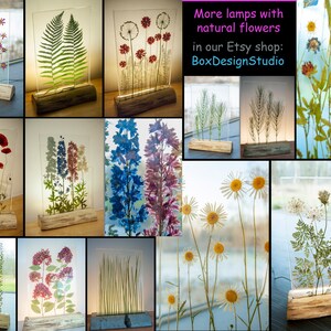 May include: A collage of 12 different lamps featuring pressed flowers and plants encased in clear resin. Each lamp has a wooden base and is illuminated by a light source. The text "More lamps with natural flowers in our Etsy shop: BoxDesignStudio" is displayed at the top of the collage.