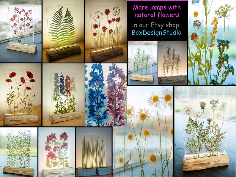 May include: A collage of 12 different lamps featuring pressed flowers and plants encased in clear resin. Each lamp has a wooden base and is illuminated by a light source. The text "More lamps with natural flowers in our Etsy shop: BoxDesignStudio" is displayed at the top of the collage.