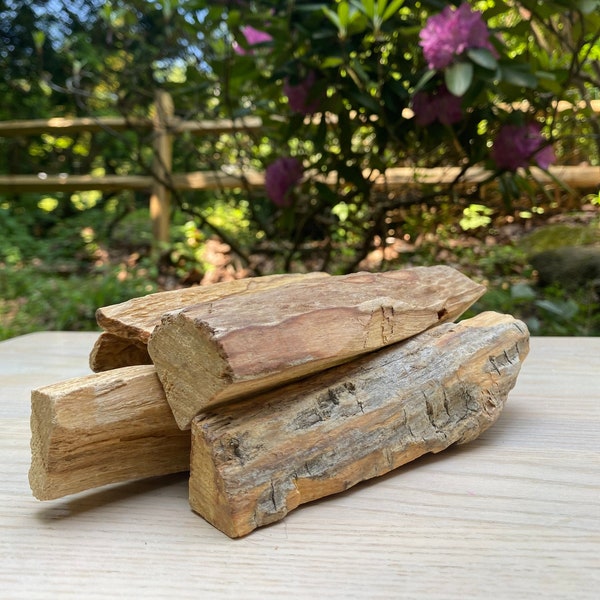 Extra Large Palo Santo - Peruvian Wood Incense