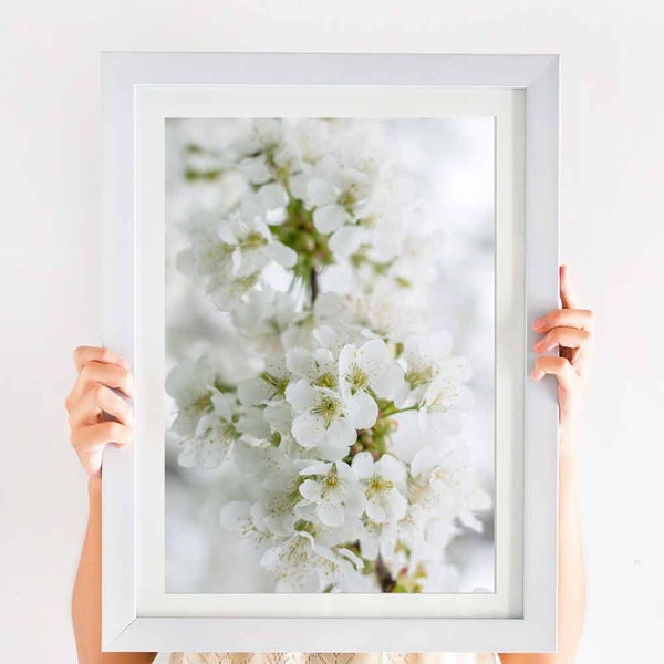 Spring Apple Blossoms Floral Print, Digital Download, Nature Photograph, Modern Farmhouse, Neutral Artwork, Romantic Flowers