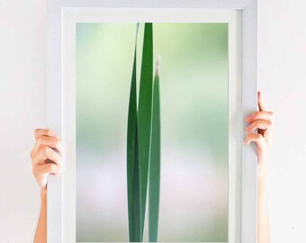 Green Wall Art, Spa Photography Print, Minimalist Decor, Spa Wild Grasses, Tall Grasses Printable, Botanical Home, Greenery Wall Decor