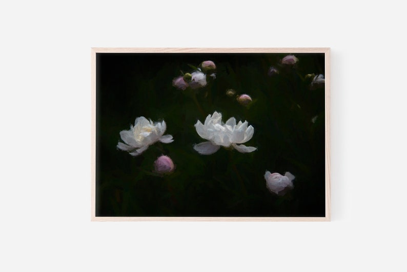 Floral Print Office Living Room Flower Photograph Farmhouse Art Romantic Wall Art for Bedroom Peony Flower Print Painterly Peonies