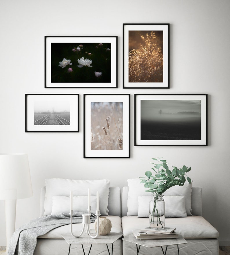 Floral Print Office Living Room Flower Photograph Farmhouse Art Romantic Wall Art for Bedroom Peony Flower Print Painterly Peonies