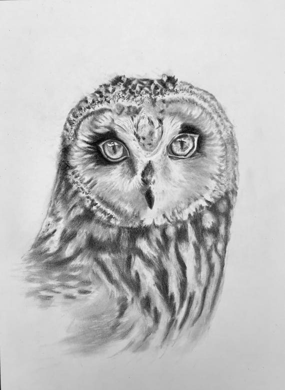Ołówek Sowa Rysunek Etsy