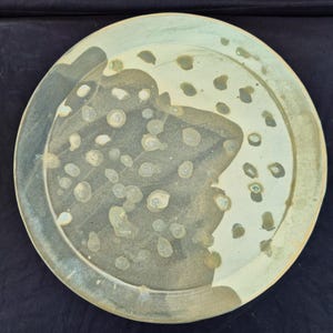Plate - Dinner plate - handmade ceramic plate - Ready to ship!
