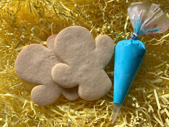 Cactus cookie decorating kit - 12 cookies - NUT FREE