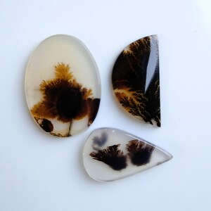 May include: Three polished dendritic agate cabochons with smooth surfaces. One is a large oval, one is a semi-circle, and one is a teardrop shape. Each stone features translucent off-white coloring with dark brown and black fern-like inclusions.